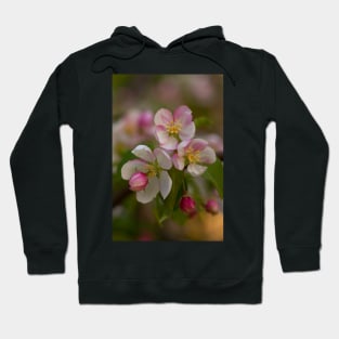 Blossoms Hoodie